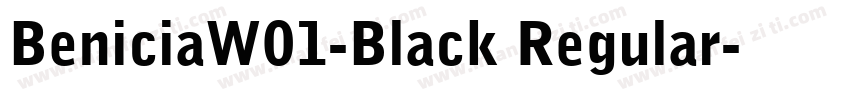 BeniciaW01-Black Regular字体转换